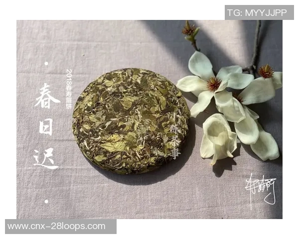 足球围巾的魅力与文化传承探讨如何成为球迷身份的象征与时尚单品 足球围巾的魅力与文化传承探讨如何成为球迷身份的象征与时尚单品